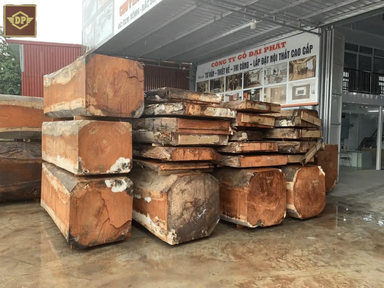 Gỗ gõ đỏ pachy – Cứng chắc, vân đẹp, bền bỉ theo thời gian