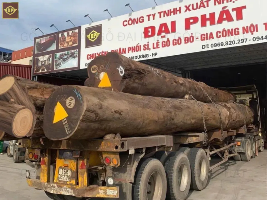 Gỗ lim tròn – Cứng chắc, chịu lực tốt, bền bỉ theo thời gian